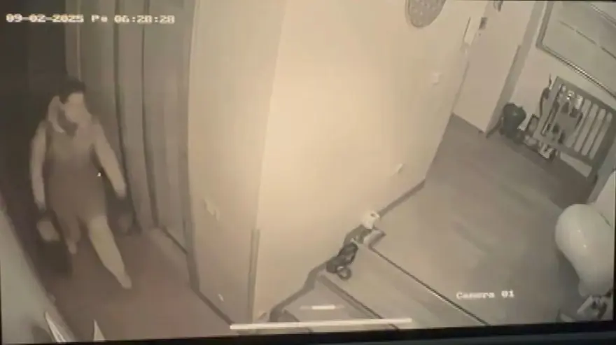 Sultan Vahdettin'in torununun evinden 11 milyonluk soygunun arkasından hizmetçi çıktı 