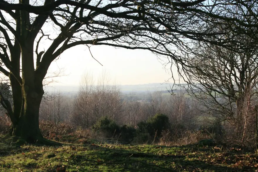 İngiltere'de 42 yıl sonra 'kara gözlü kız' yeniden ortaya çıktı iddiası 7