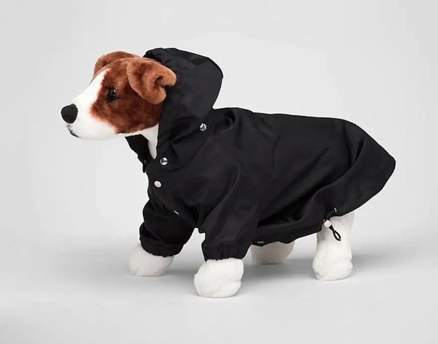 Prada'dan 13 bin TL'ye köpek yağmurluğu Prada'dan 13 bin TL'ye köpek yağmurluğu