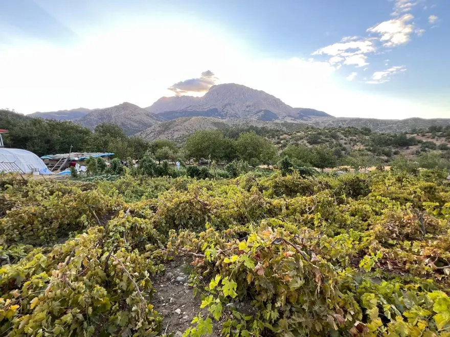 Doğal şifa kaynağı: Büyük kazanlarda odun ateşinde kaynatılıyor 3 Doğal şifa kaynağı: Büyük kazanlarda odun ateşinde kaynatılıyor 3