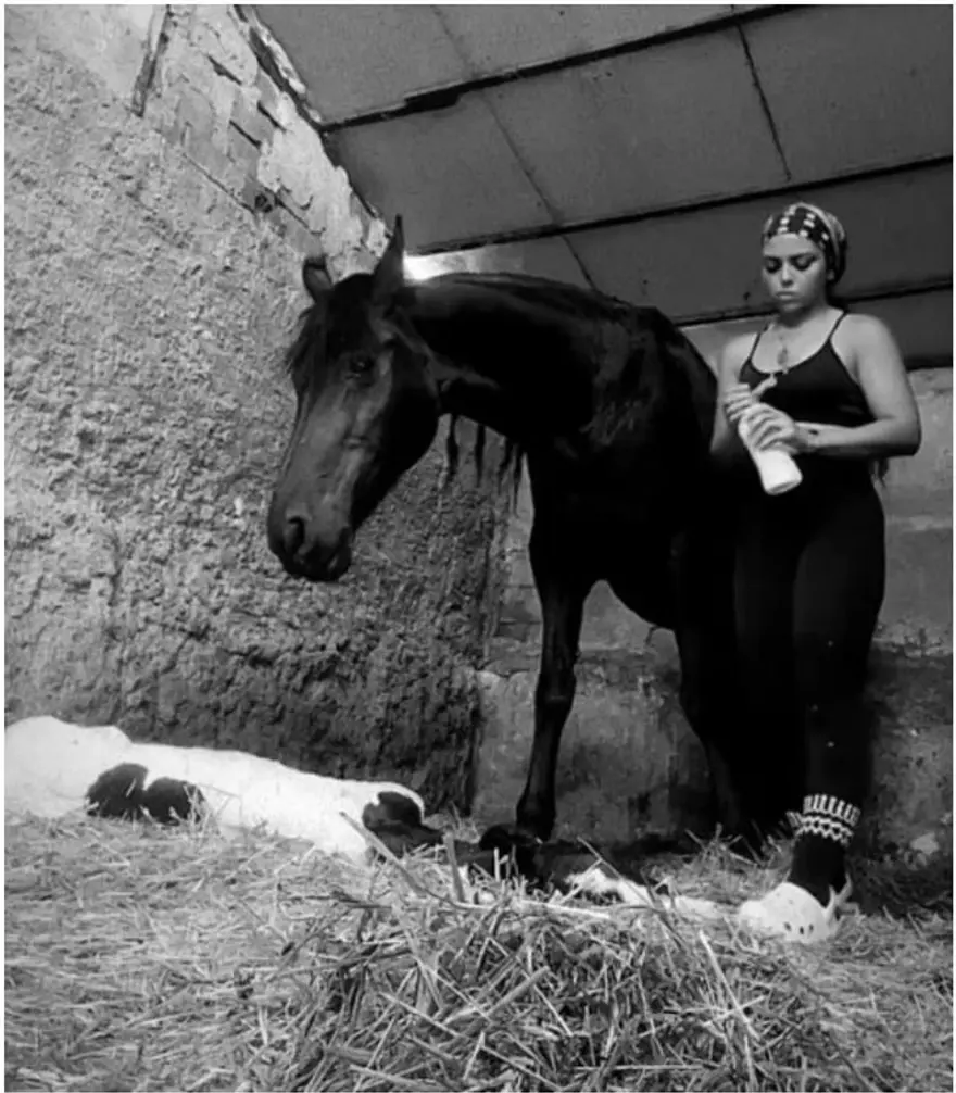 OTOPSİ YETERSİZ 6 OTOPSİ YETERSİZ 6