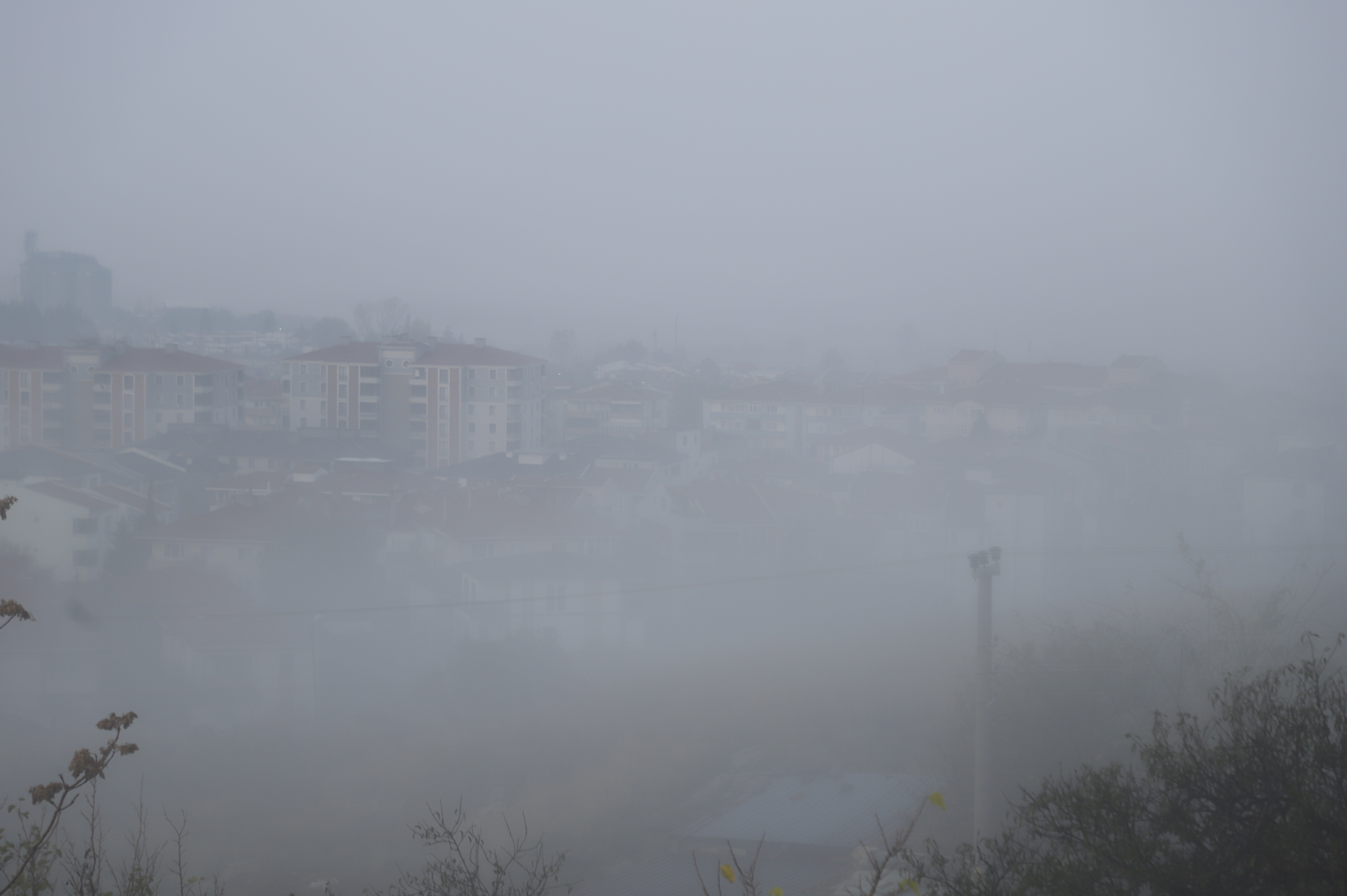 Edirne Keşan'da yoğun sis: Görüş mesafesi 30 metreye düştü
