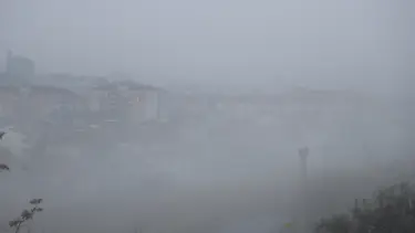 Edirne Keşan'da yoğun sis: Görüş mesafesi 30 metreye düştü