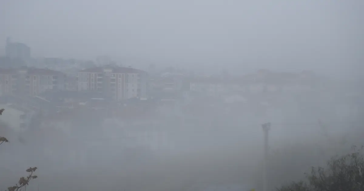 Edirne Keşan'da yoğun sis: Görüş mesafesi 30 metreye düştü