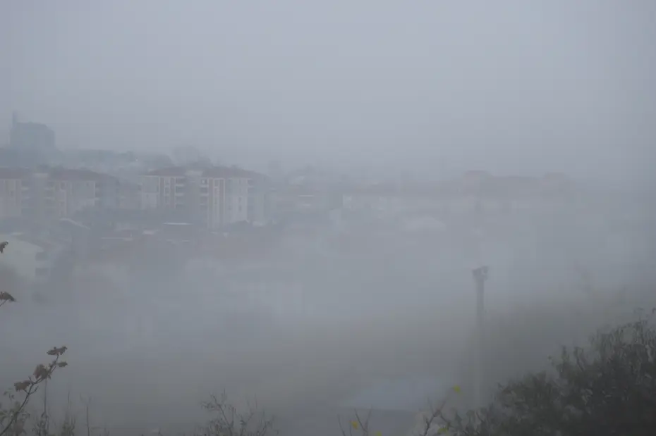 Edirne Keşan'da yoğun sis: Görüş mesafesi 30 metreye düştü