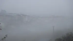 Edirne Keşan'da yoğun sis: Görüş mesafesi 30 metreye düştü