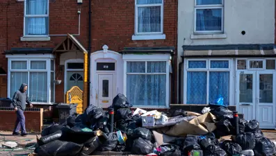 İngiltere sokaklarını sıçanlar bastı: "Kedilerden daha büyükler"