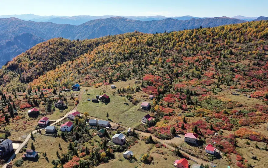 Trabzon-Giresun sınırındaki Sis Dağı'nda güz zamanı 14