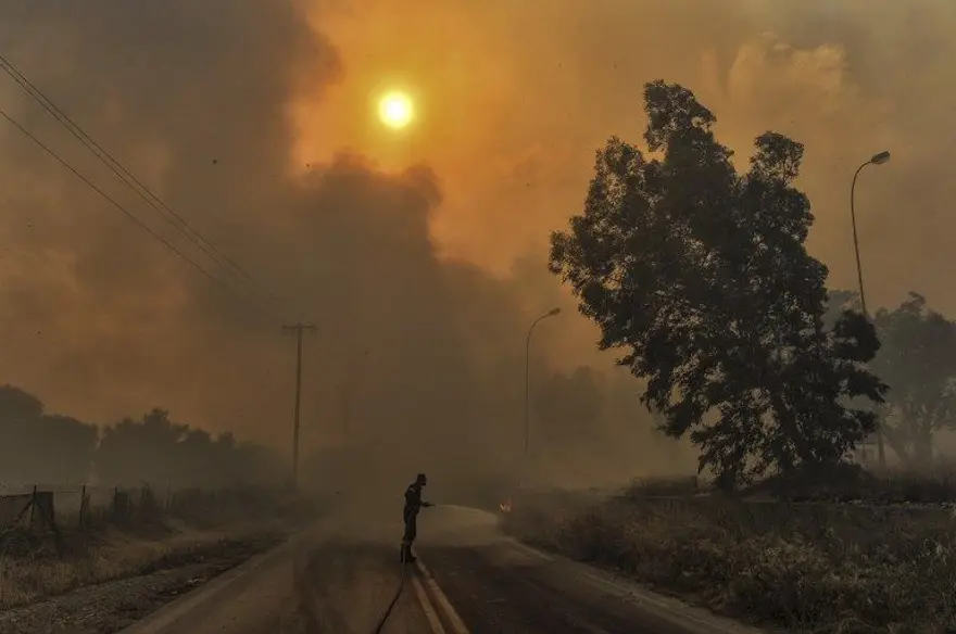 Yunanistan'daki orman yangınında ölü sayısı 81'e yükseldi (180'i aşkın yaralı var) 61