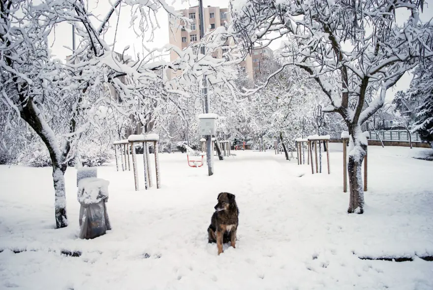 İstanbul'da kar 10