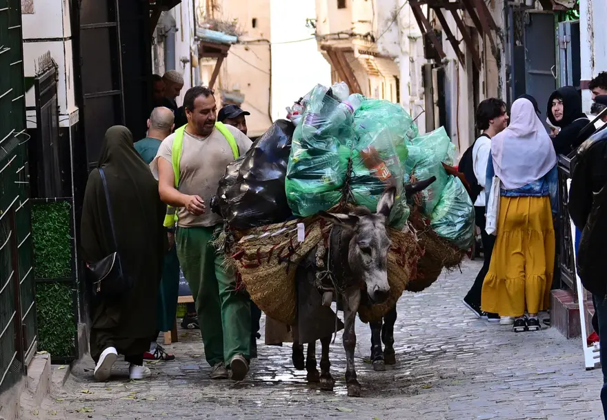 Tarih kokan Akdeniz şehri: Cezayir 8