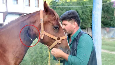 Bahçe hortumu ile 'bypass'