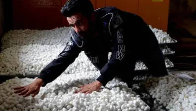 İpeğin merkezi Diyarbakır: Üretim 1 yılda yüzde 15 arttı