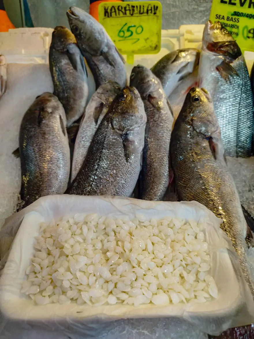 Kilosu 650 lira, başındaki taş 10 bin lira: Şifalı olduğuna inanılıyor 