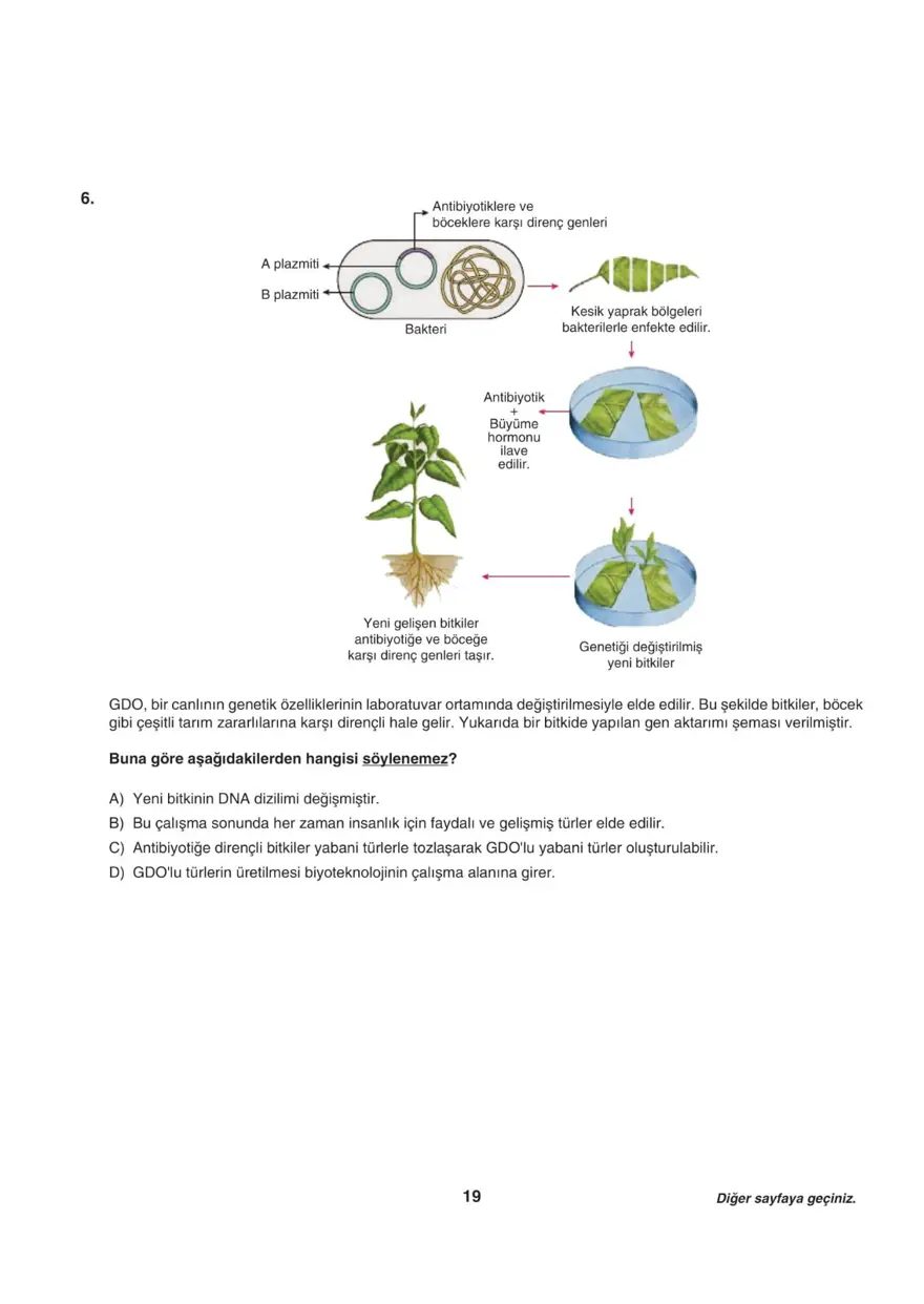 Uğur Okulları LGS-2 sayısal deneme sınavı 18