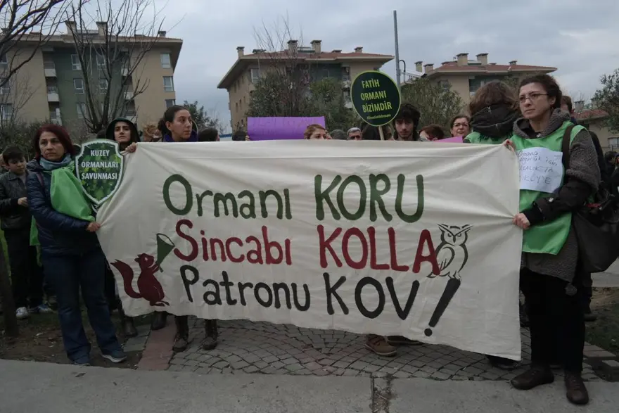 Fatih Ormanı için eylem 1