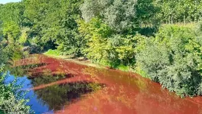 Çayı kirleten firmanın faaliyeti durduruldu