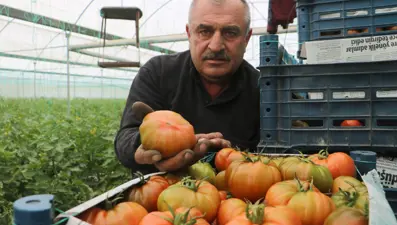 Tarlada 28 TL marketlerde 60 TL’yi buluyor