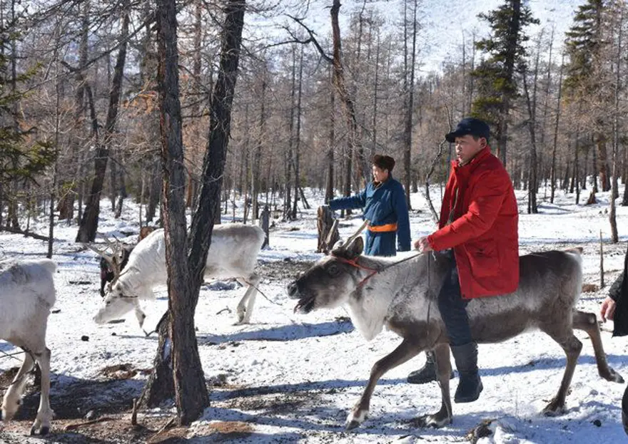 GEYİKLER ONLARIN HER ŞEYİ 19