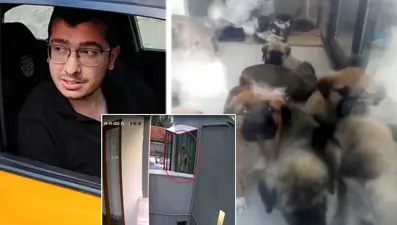 Evde köpekleri parçalayıp öldüren doktor 12 yavru köpeği daha katletmiş