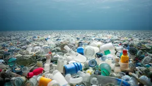 Hong Kong'da tek kullanımlık plastik yasağı