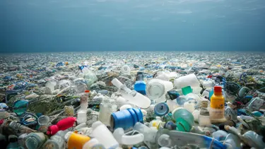 Hong Kong'da tek kullanımlık plastik yasağı