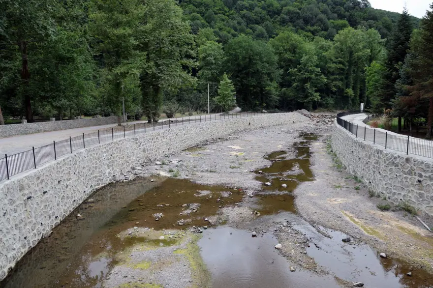 Sakarya’da korkutan manzara: Doğaseverlerin gözdesi kurudu 6