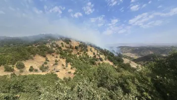 Bingöl'de çıkan orman yangınına müdahale ediliyor