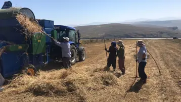 Güneş altında patoz mesaisi başladı