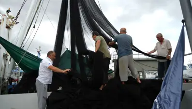 Hazırlıklar yapıldı, 1 Eylül'de başlayacak: Bu yıl herkes balığa doyacak