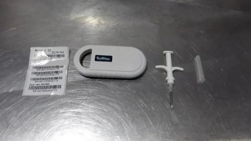2. SORU: 6 aylıktan büyük ev hayvanları yılbaşına kadar kimliklendirilmezse ne olacak? 1 2. SORU: 6 aylıktan büyük ev hayvanları yılbaşına kadar kimliklendirilmezse ne olacak? 1