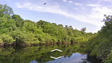 Google'da Amazon turu