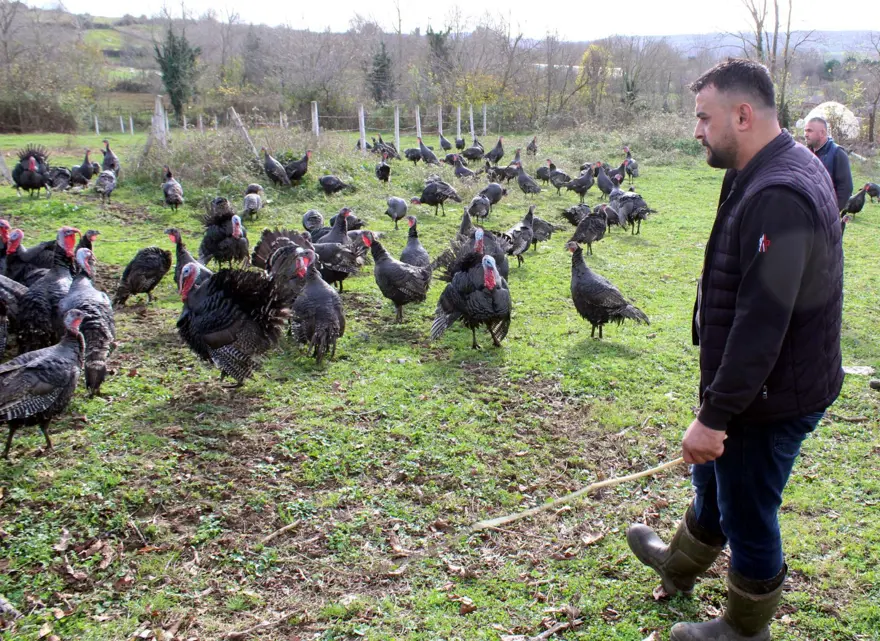 Yılbaşı hindileri bin liraya kadar çıkıyor 5