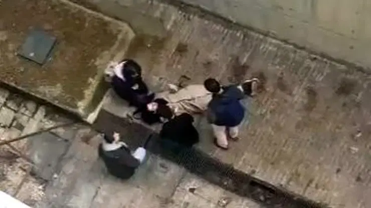 Kampüste köpek paniği: Kaçarken 4 metreden betona düştü