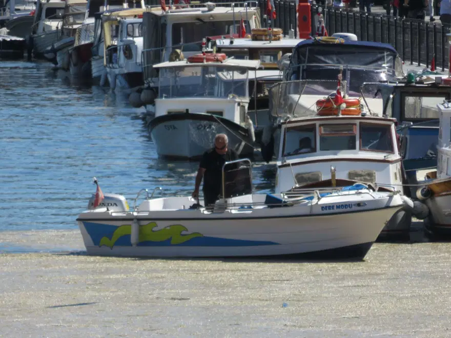 İstanbul'da Kurbağalıdere'yi de deniz salyası kapladı 6 İstanbul'da Kurbağalıdere'yi de deniz salyası kapladı 6