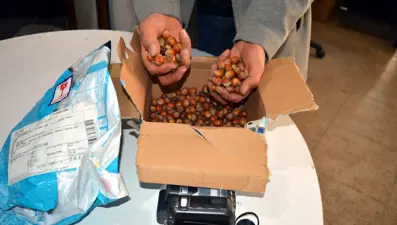 Fotoğraf makinesi siparişi verdi, fındık ve bozuk el kamerası geldi