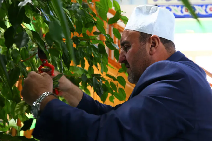 Botanik bahçesi değil cami 10