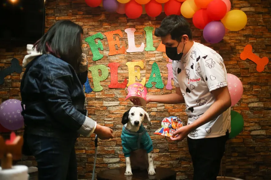 Dünyanın ilk köpek restoranı Bolivya'da açıldı 6