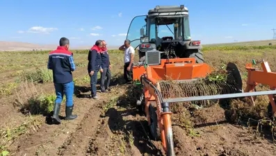 Üretimi 3 bin dekara ulaştı: Aranan ürünler arasında yer alıyor