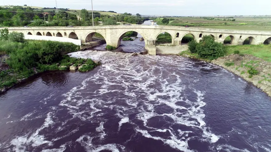 Ergene Nehri, Trakya'da zehir saçıyor 2