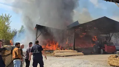 Kereste fabrikasında yangın