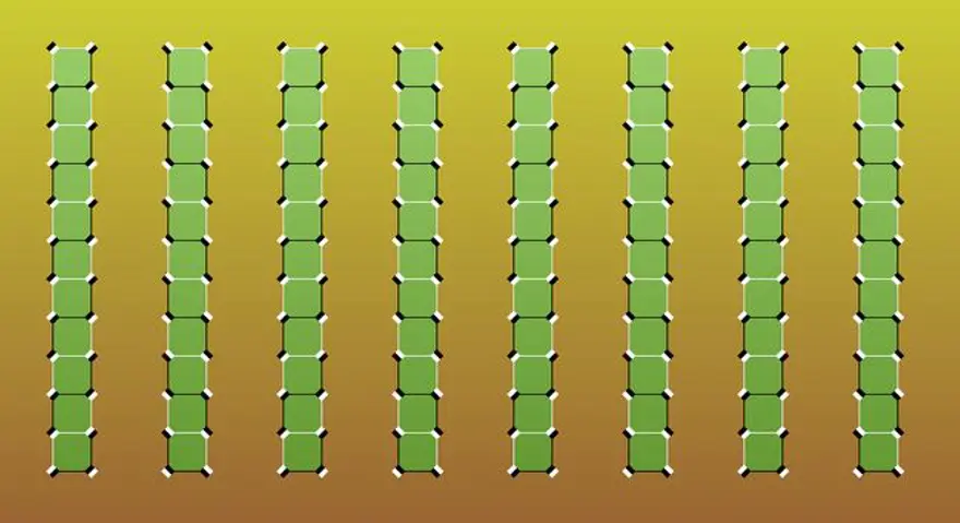 Sosyal medyanın gündemindeki optik illüzyonun sırrı çözüldü 9