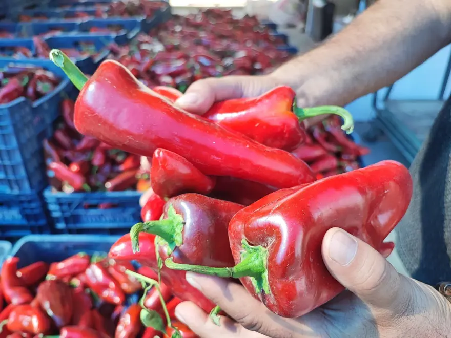 Pazara giden almadan dönmüyor:  Kış hazırlığı başladı 