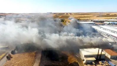 Tekirdağ'da tarım arazisinde başlayan yangın tül fabrikasına sıçradı