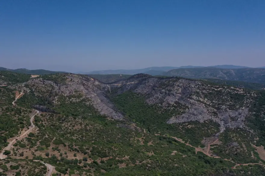 Menderes'teki orman yangınından geriye kalanlar 2