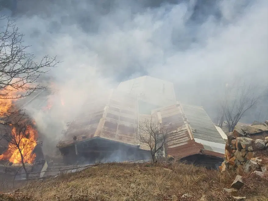 Rize'de Gölyayla köyünde çıkan yangına müdahale devam ediyor: 9 ev zarar gördü 1