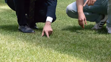 Tartışma yaratan stadyum zemininde son durum: 10 gün içinde hazır olacak