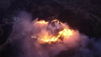 Keneyi yakmak isterken ormanı yaktı