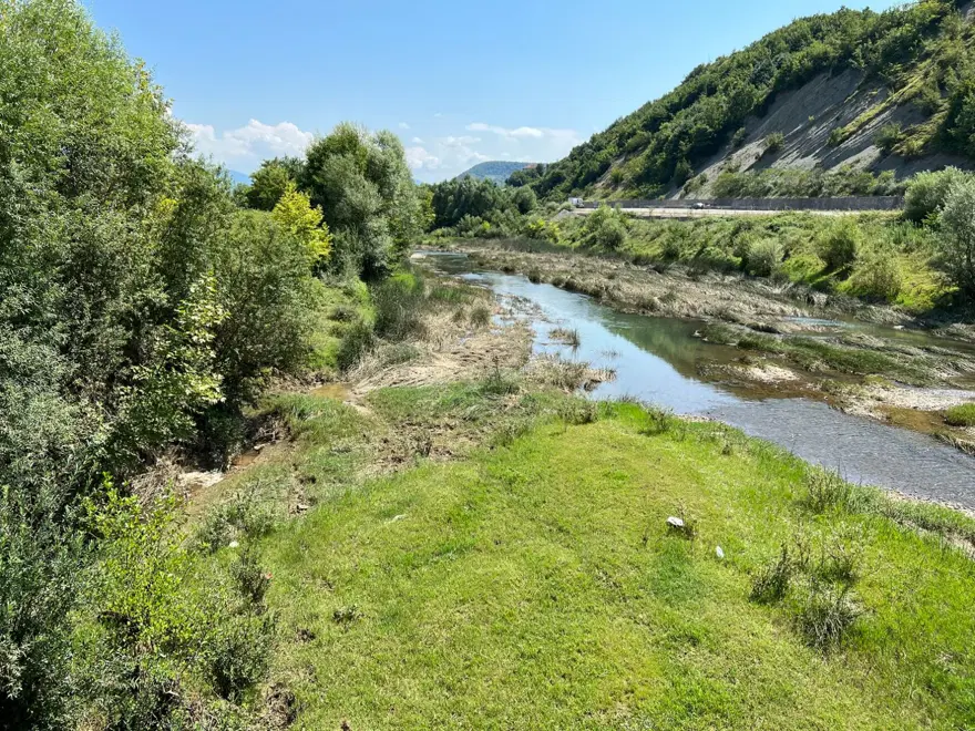 Bartın Irmağı'nda toplu balık ölümleri 5