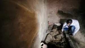Mısır'da böcek mumyası bulundu